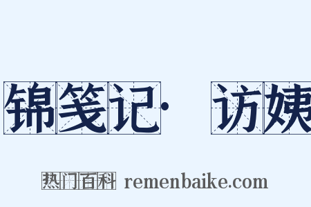 锦笺记·访姨是什么意思的图片